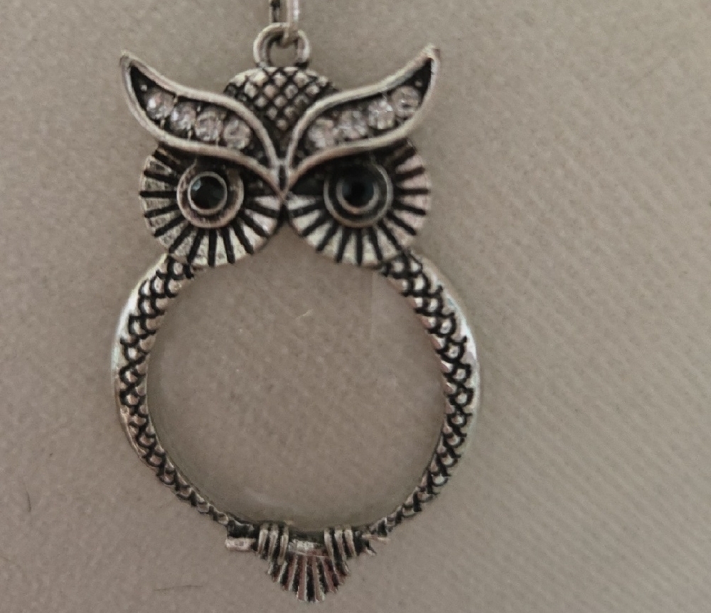 Silver Owl Magnifying Pendant Necklace - Picture 3 of 4